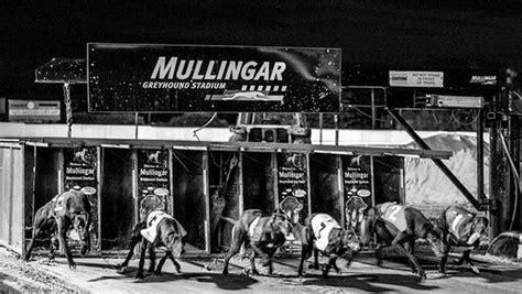 ballydonnell sam